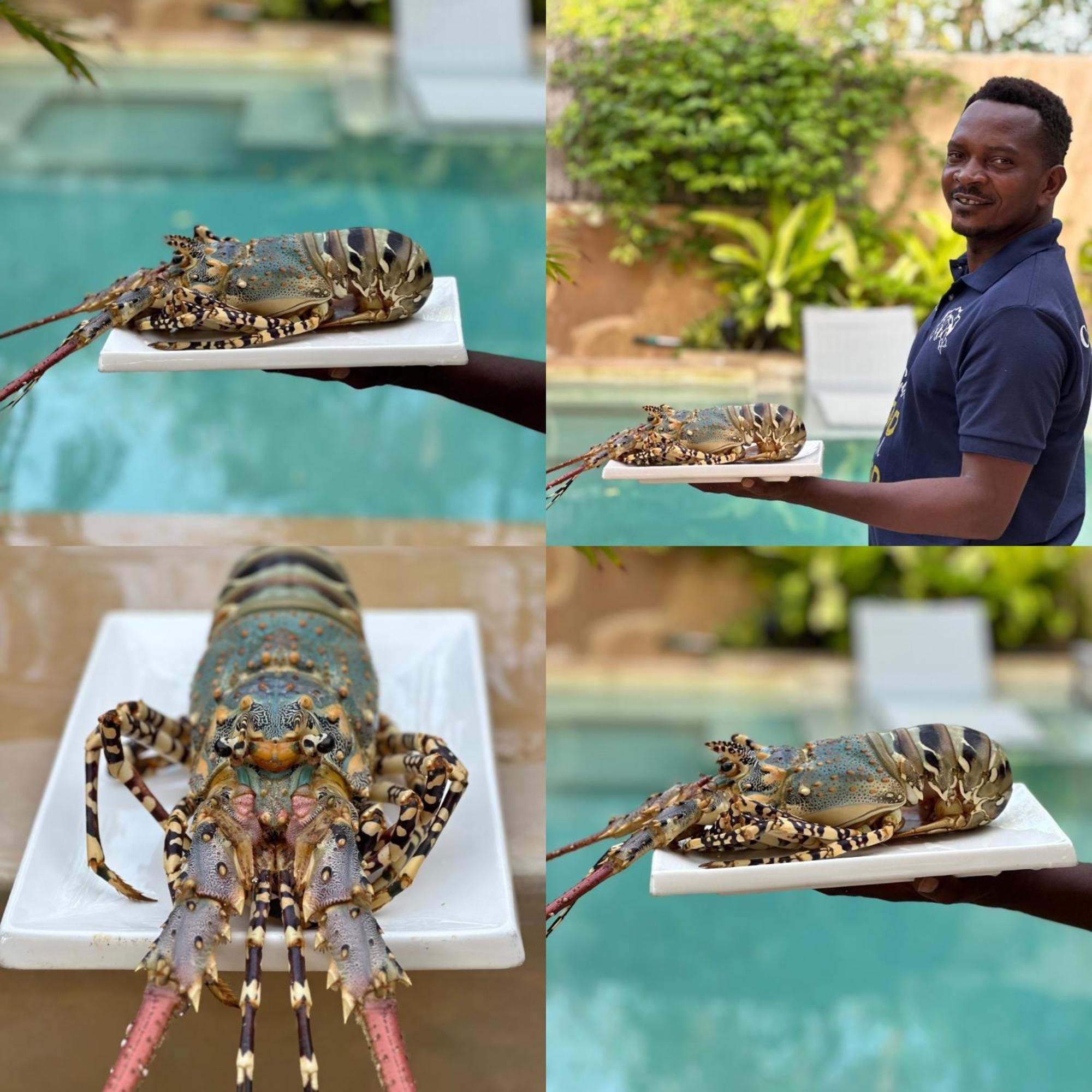 Chikachika Beach B&B Nungwi Exteriér fotografie